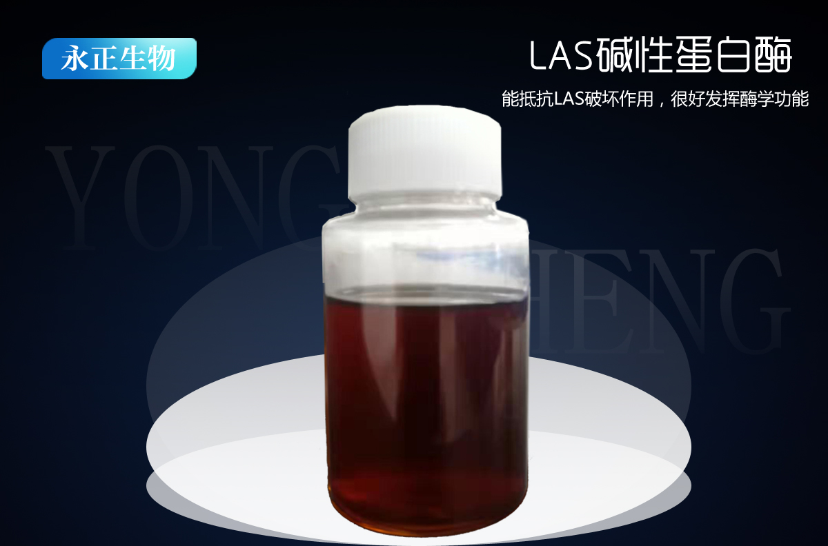 液体液体LAS碱性蛋白酶DBY-20L